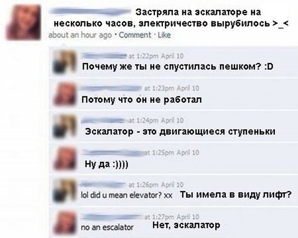 Порция картинок