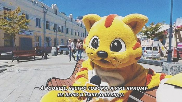 Порция картинок