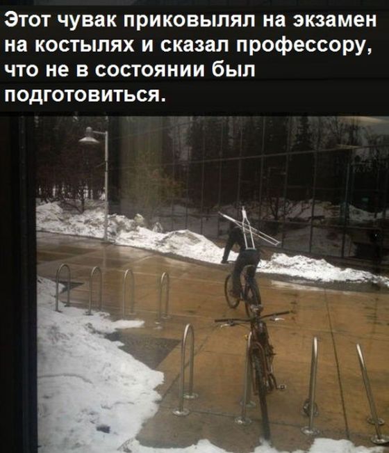 Порция картинок