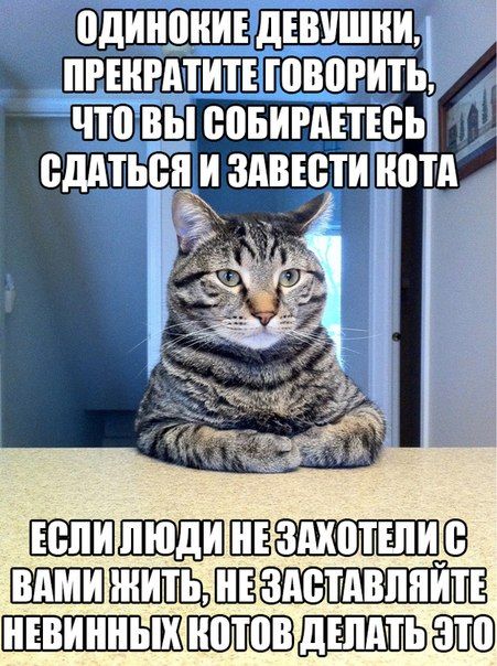 Порция картинок