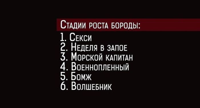 Порция картинок