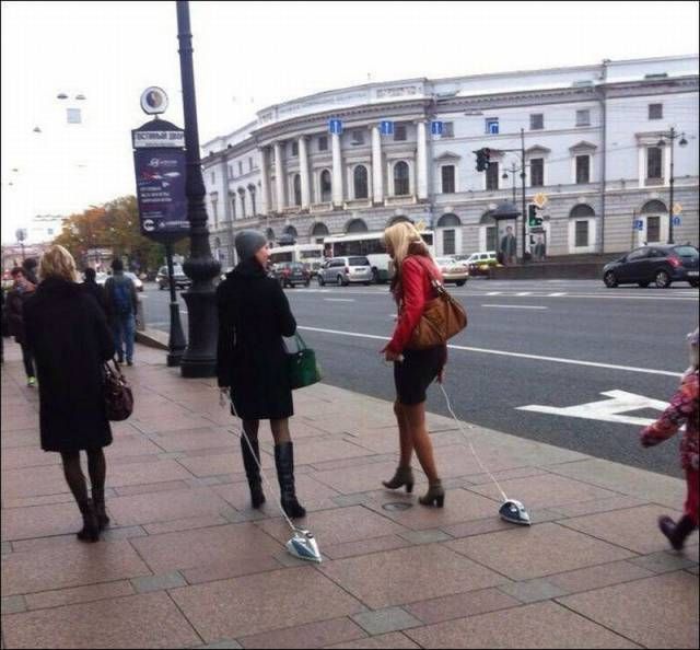 Порция картинок