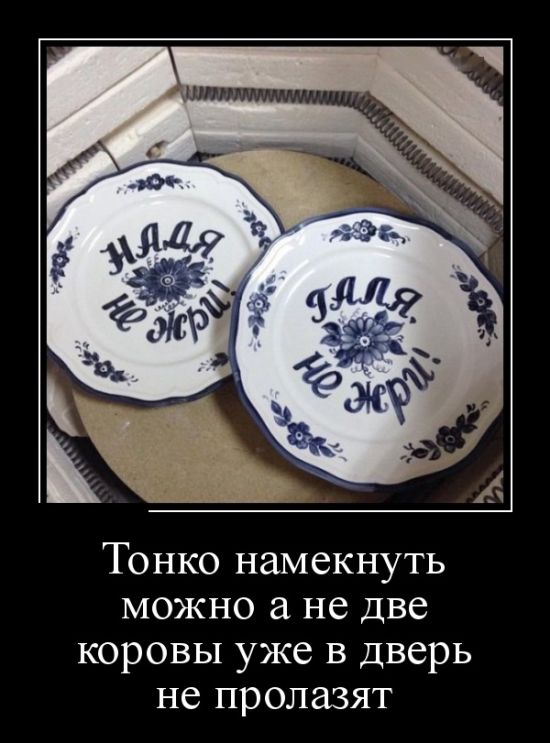 Демотиваторы