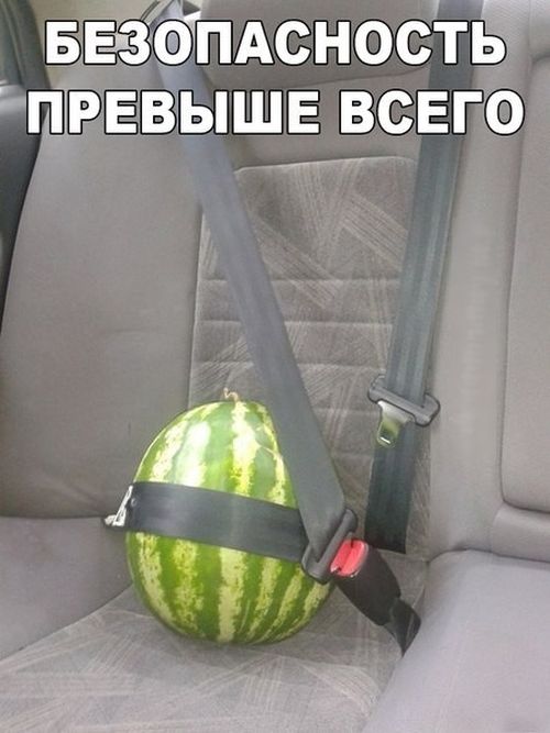 Свежие автоприколы