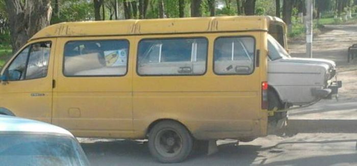 Прикольные картинки