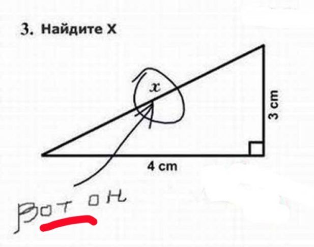 Перлы школьников и замечания из дневников