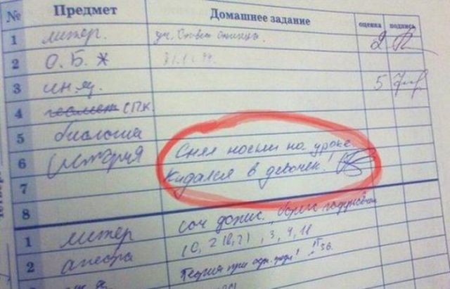 Перлы школьников и замечания из дневников