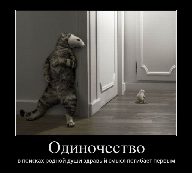 Демотиваторы