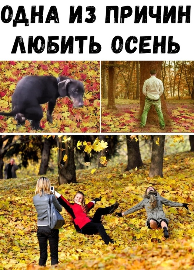 Прикольные картинки