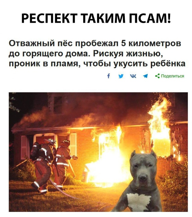 Прикольные картинки