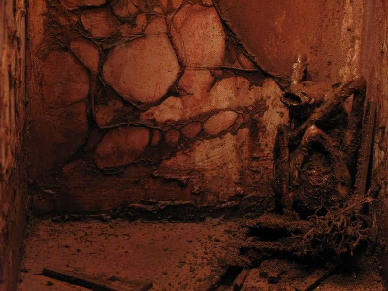 Жуткие диорамы Марка Пауэлла, считающего каннибализм и переваривание плоти изысканными