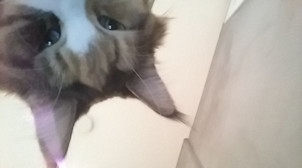 Странные фото, которые люди находили в своих телефонах Странные фото, которые люди находили в своих телефонах