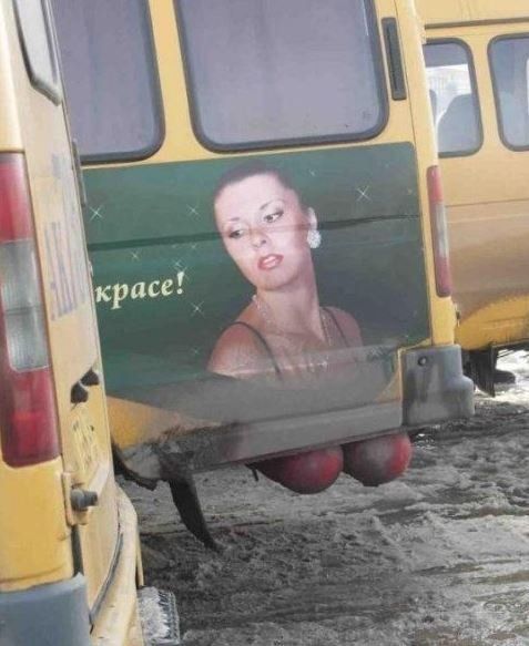 Прикольные картинки