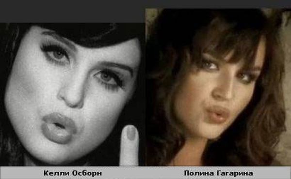 Поразительное сходство (25 фото)