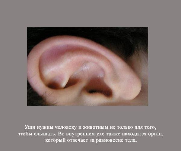 Невероятно, но факт