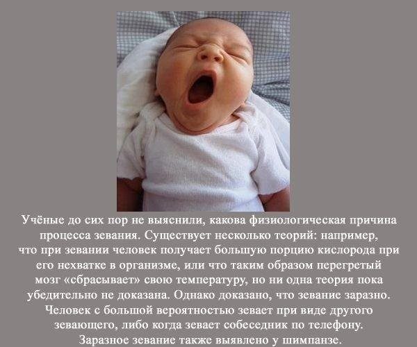 Невероятно, но факт