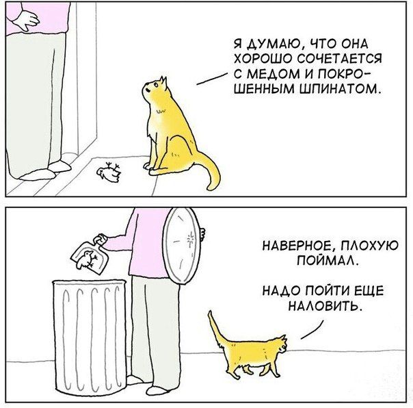 Смешные комиксы