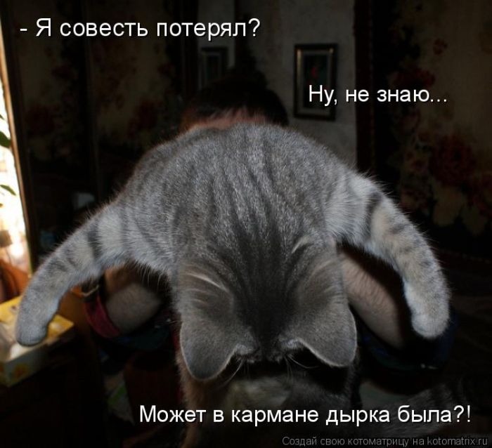 Лучшие котоматрицы недели