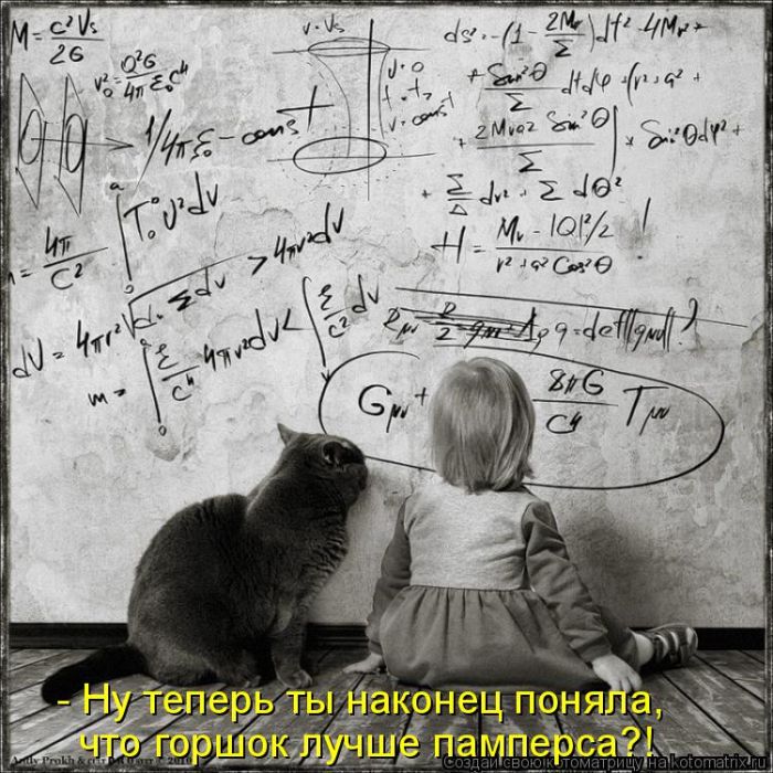 Лучшие котоматрицы недели