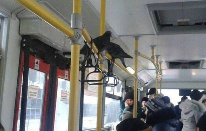Фото, которые возможно было сделать только в России