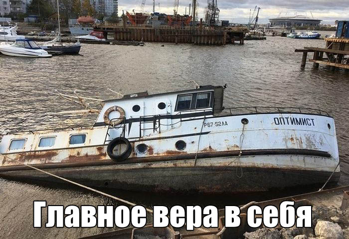 Прикольные картинки