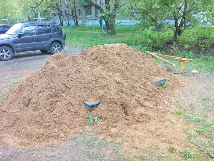 Прикольные картинки