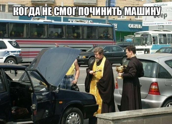 Прикольные картинки