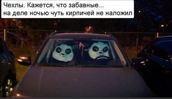 Прикольные картинки