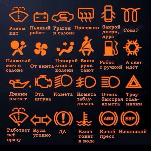 Прикольные картинки