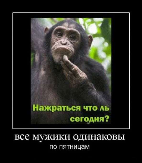 Алкогольный юмор специально к пятнице и выходным