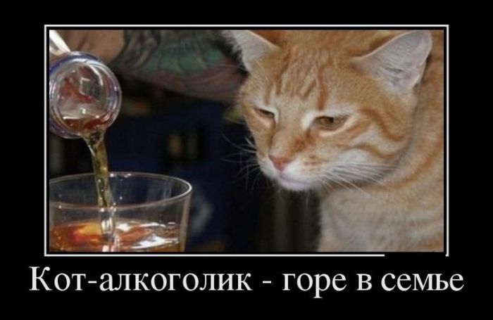 Алкогольный юмор специально к пятнице и выходным