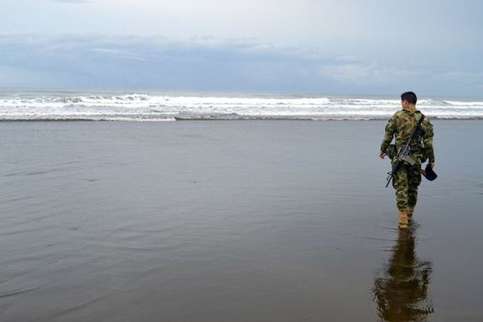 Колумбийские моряки спасают детенышей черепах