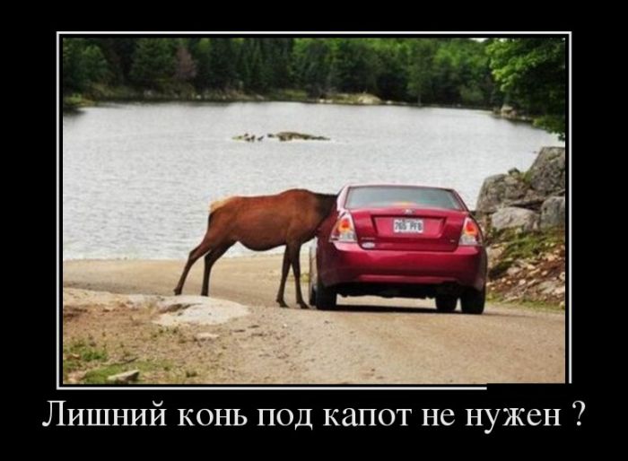 Демотиваторы