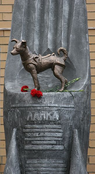 55 лет полету Лайки в космос! 55 лет полету Лайки в космос!