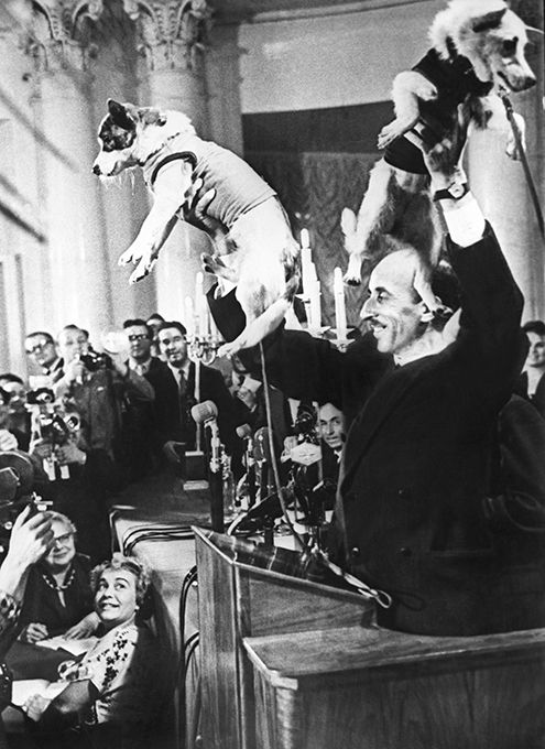 55 лет полету Лайки в космос! 55 лет полету Лайки в космос!