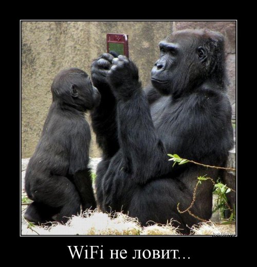 Демотиваторы - новинки