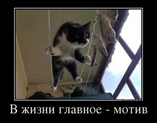 Демотиваторы - новинки