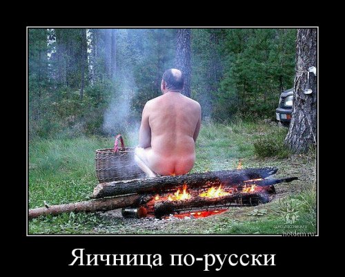 Демотиваторы - новинки