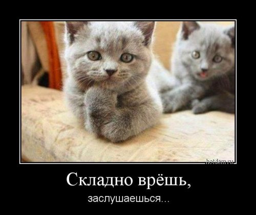 Демотиваторы - новинки