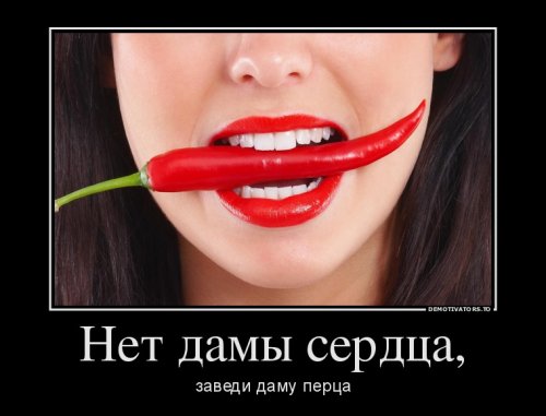 Демотиваторы - новинки