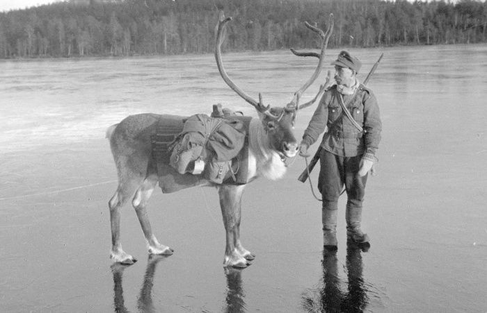 Подборка редких фотографий со всего мира