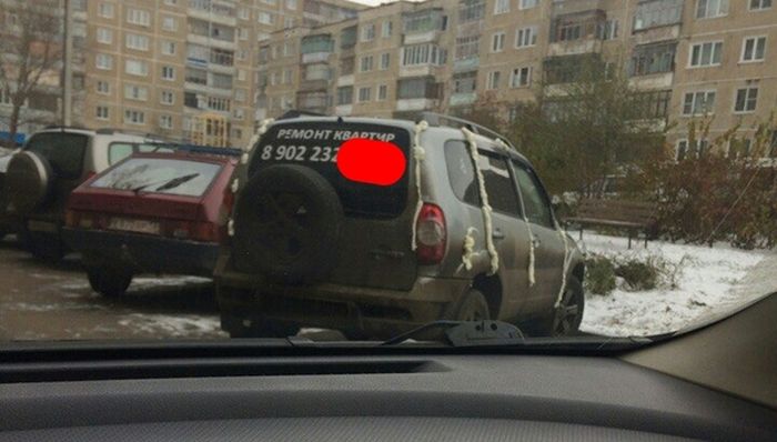 Прикольные картинки