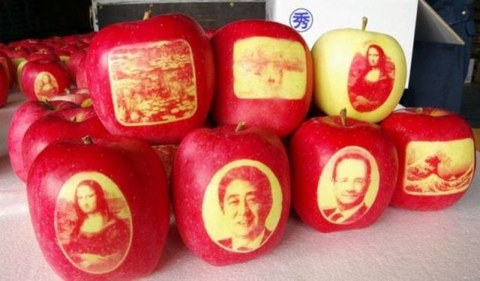 Прикольные картинки