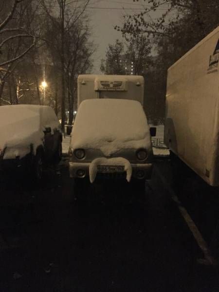 Прикольные картинки