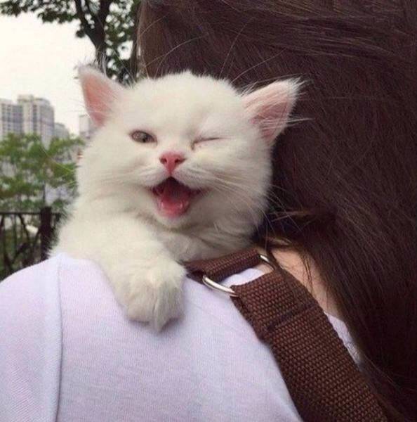Коллекция эмоциональных снимков