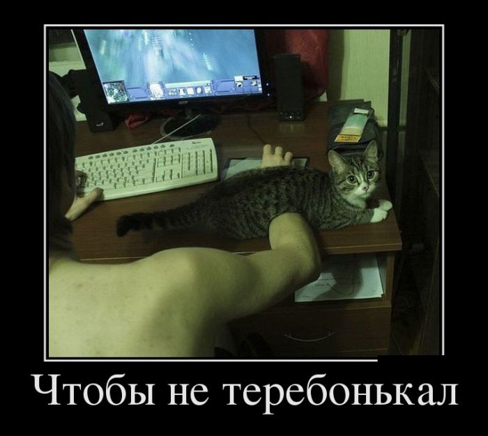 Демотиваторы