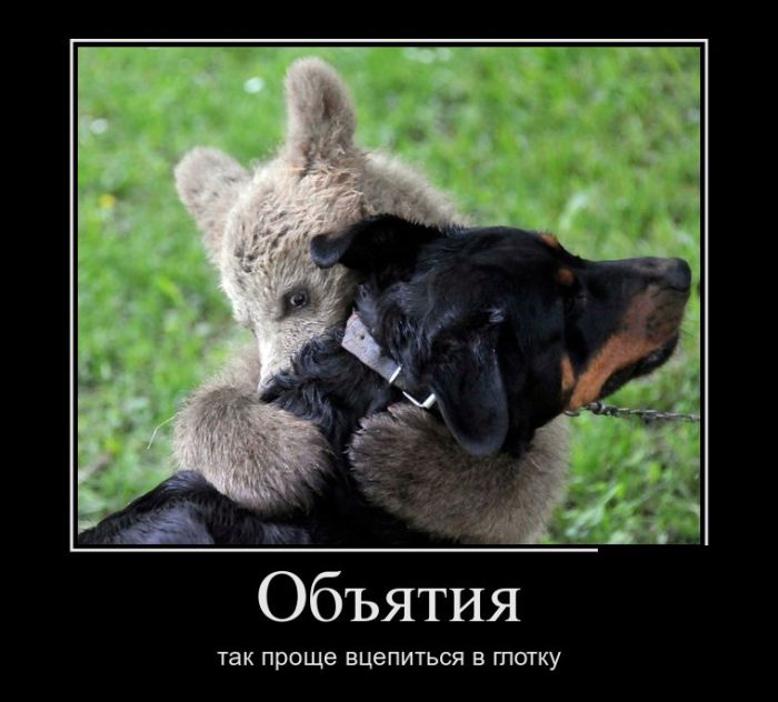 Демотиваторы