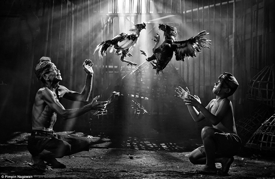 Победители фотоконкурса Siena International Photo Awards