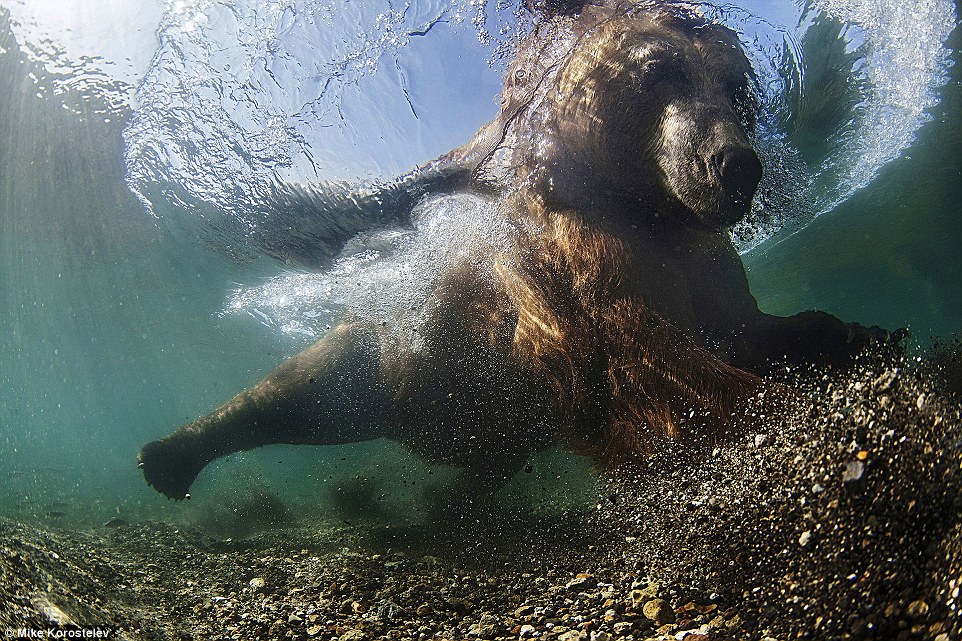 Победители фотоконкурса Siena International Photo Awards