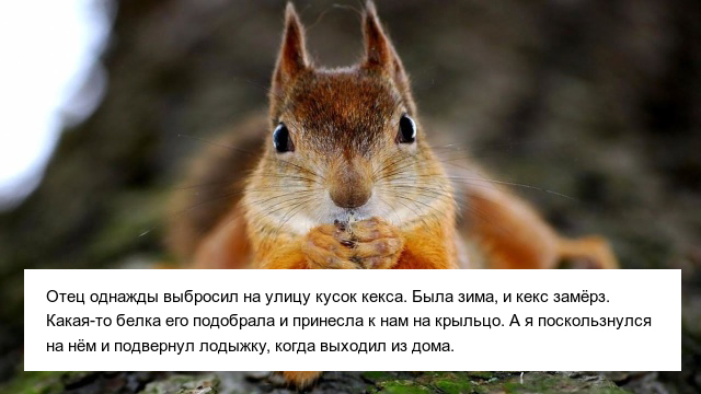 Невероятные истории опозданий на работу, в которые верится с трудом